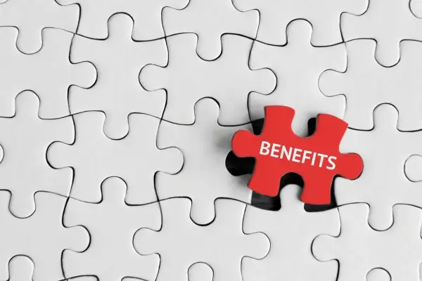 benefits of seo services in delhi