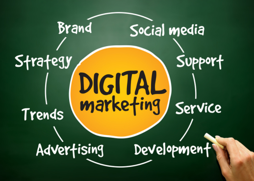 Lovely Gupta Digital Marketing Expert in India